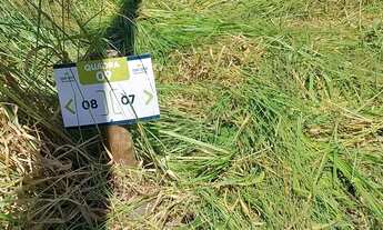 Imagem 6: ÁGIO lote condomínio Arca Park