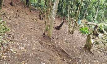 Imagem 4: Terreno em santo André
