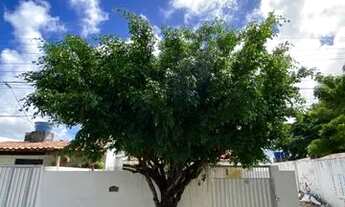 Imagem: ALUGA-SE CASA NO CASTELO BRANCO