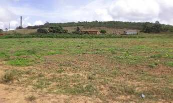 Imagem 2: Vendo Terreno Irrigado