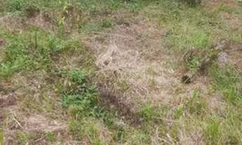 Imagem: Terreno ubatumirim em Ubatuba