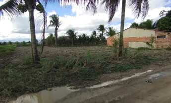 Imagem 3: 1 tarefa de terra