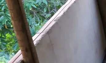 Imagem 2: Espaço para festa com piscina área de churrasco , junto com a casa