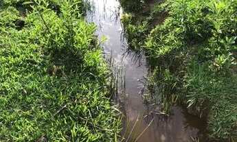 Imagem 5: Terreno com muita água