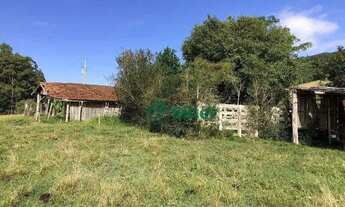 Imagem 7: Sítio com 2 dormitórios à venda, 12000 m² por R$ 650.000,00 - Morungava - Gravataí/RS