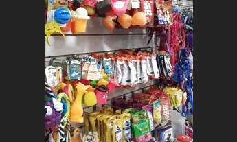 Imagem 7: Pet shop na Praça Seca