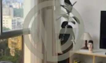 Imagem 4: Apartamento à venda, 178 m², 3 Dormitórios, 1 Suíte, 2 Vagas