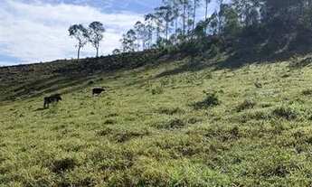 Imagem 3: Vende-se terreno com ótimo acesso