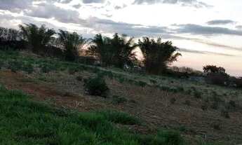 Imagem 4: Chácara na Região de melhor Ecoturismo do DF