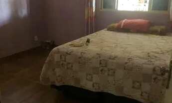 Imagem 3: Vendo uma Mini chácara 3 mil metros