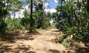 Imagem 2: TERRENOS EM ALDEIA 5000m2