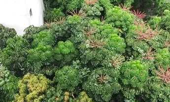 Imagem 7: Apartamento com 1 dormitório para alugar, 45 m² por R$ 3.684,81/mês - Higienópolis - São P