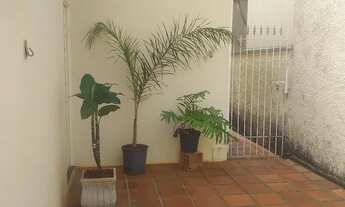 Imagem 3: Quartos para rapaz no Cambui