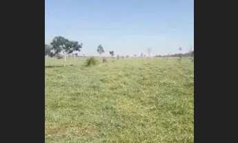 Imagem 2: Fazenda - Bairro Gleba Iriri