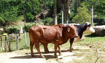 Imagem 6: Chalé das Colinas