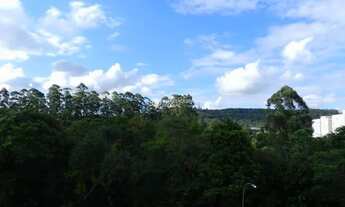 Imagem 6: NOVO HAMBURGO - Apartamento Padrão - Operário