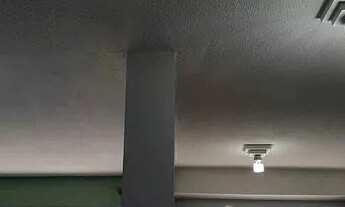 Imagem 6: Ideal samambaia 4 andar escada peço caução