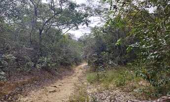 Imagem 2: Terreno e casa no município de Porto Grande nova colina