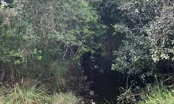 Imagem 4: Excelente Fazenda em Sapeaçu com 150 TA