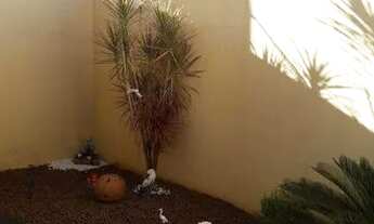 Imagem 7: Casa para aluguel, 2 quartos, 3 vagas, Planalto Verde - Ribeirão Preto/SP