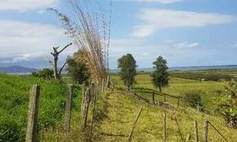 Imagem 2: Vendo terreno no Barreiros ótima localização próximo a BR 101