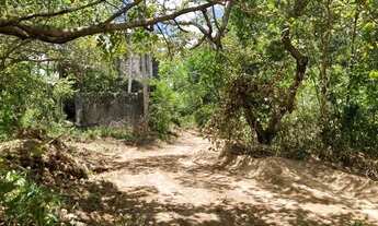 Imagem 5: TERRENOS EM ALDEIA 5000m2