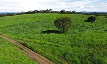 Imagem 2: Fazenda em Poxoréu - MT