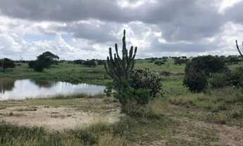 Imagem 7: Excelente Fazenda em Sapeaçu com 150 TA