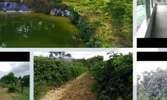 Imagem 2: Chácara a venda , a 8km de cocalzinho de Goiás