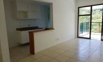 Imagem 5: Nilton Santos- Pontal Oceanico