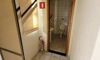 Imagem 7: Casa comercial aluguel com 3 quartos Vila Maceno