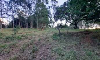 Imagem 6: Sítio com 13 alqueires em jacutinga MG