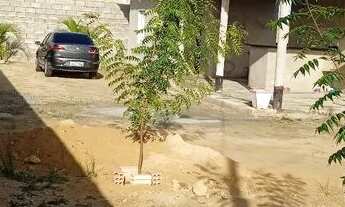 Imagem 2: Terreno c/ Edícula (Pátio Cauamé