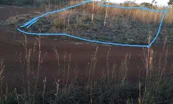 Imagem 2: Área comercial na BR 040