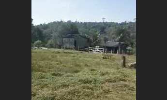 Imagem: Fazenda - Bairro Gleba Iriri