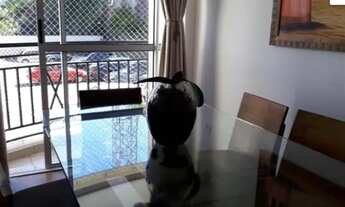 Imagem 6: Bom Apartamento na Mooca com 50 m²