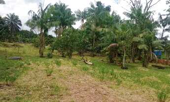 Imagem 5: Terreno a 50 MTS da Pa140