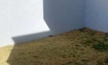 Imagem 7: CASA A VENDA NA GABRIELA