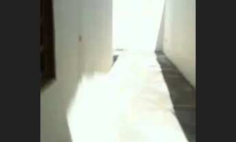 Imagem 5: Casa pra alugar Casa com 2 dormitórios