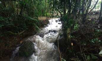 Imagem: Sítio e Trutario Pedra Negra !!