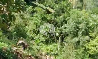 Imagem 6: Chácara com 5 hectares no Morro da Canastra em Farroupilha com casa, árvores frutíferas, á