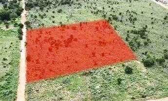 Imagem: Chácara à venda, 15km de Palmas, 21.200