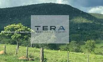 Imagem 6: Fazenda para Venda em Pirenópolis, Zona Rural