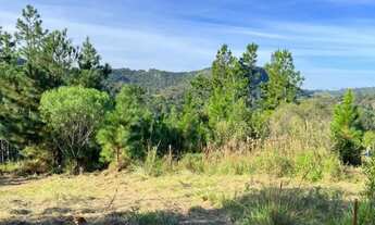 Imagem 7: Sítio 2 hectares em Gravataí-Santa tecla