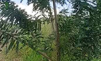 Imagem: Vendo lote localizado no café sem troco