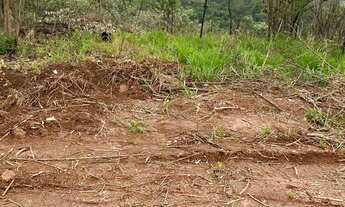 Imagem 2: Imóvel para venda com 600 metros quadrados em Centro - Guarulhos - SP