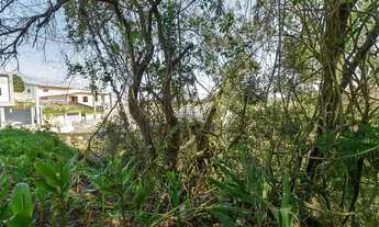 Imagem 7: Vendas Terreno Araucária PR