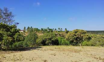 Imagem 2: Ipioca, terreno chácara com 5 mil m2