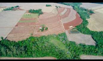 Imagem 7: Sítio em linha Boa Vista - Interior - Serranópolis do Iguaçu/PR
