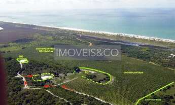 Imagem 4: ESPETACULAR: Fazenda com vista para o mar, à venda em Conde-BA, Barra do Itariri - 2 quart